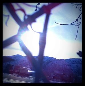 Meet your Posher, Janeesa